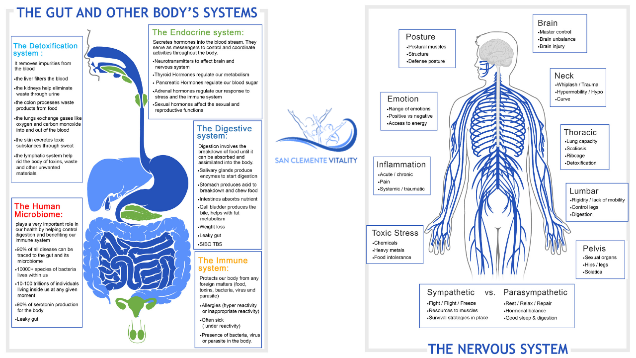 A Whole Systems Approach to Boosting Immune Function