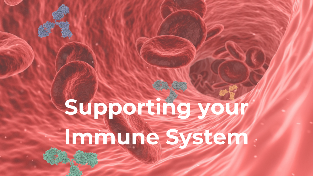 Strengthen your immune system with SC Vitality Center