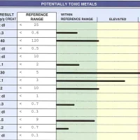 heavy metals test result heavy metals test result
