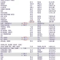 sample blood lab report sample blood lab report